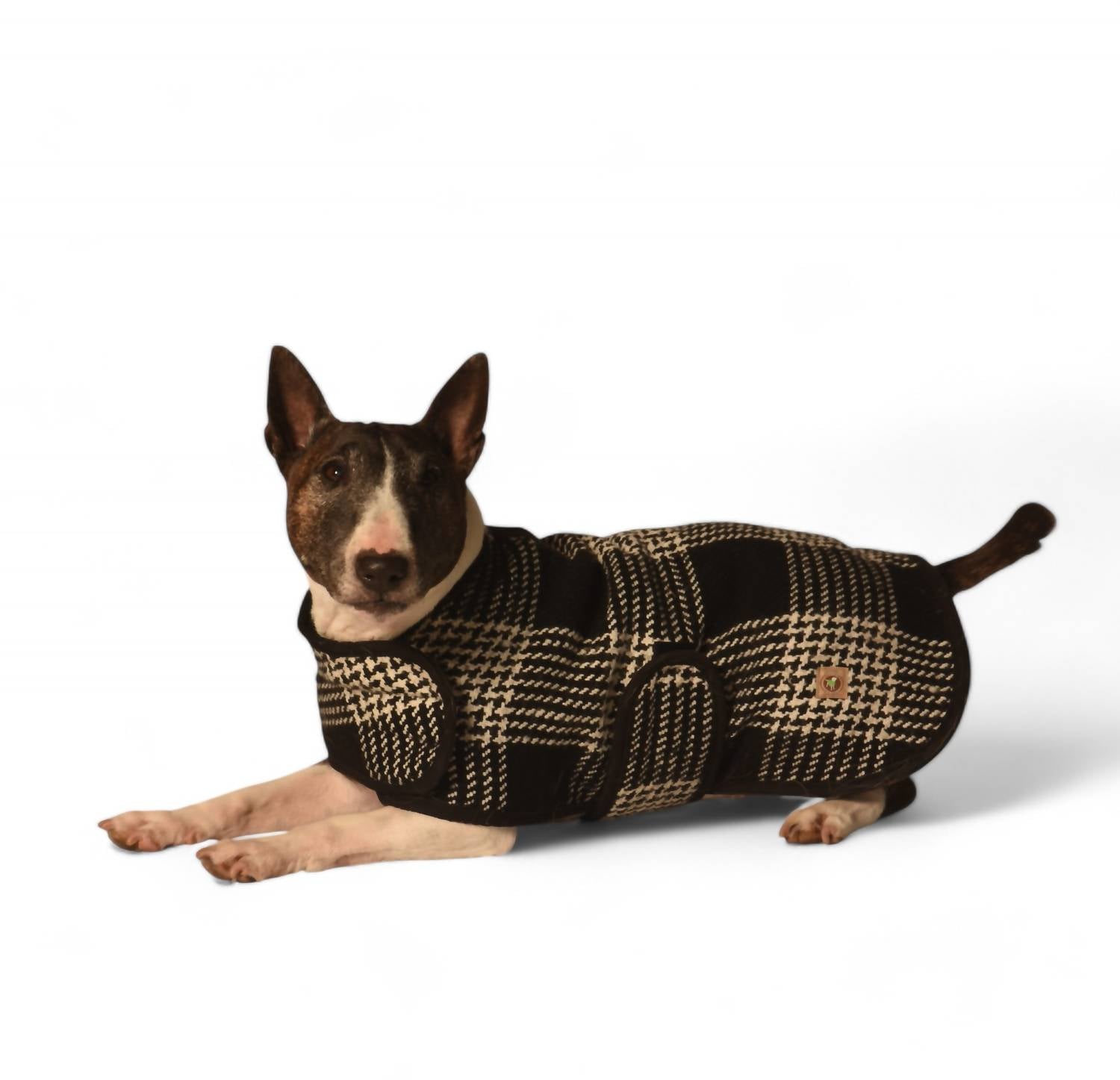 Blanket Dog Sweater