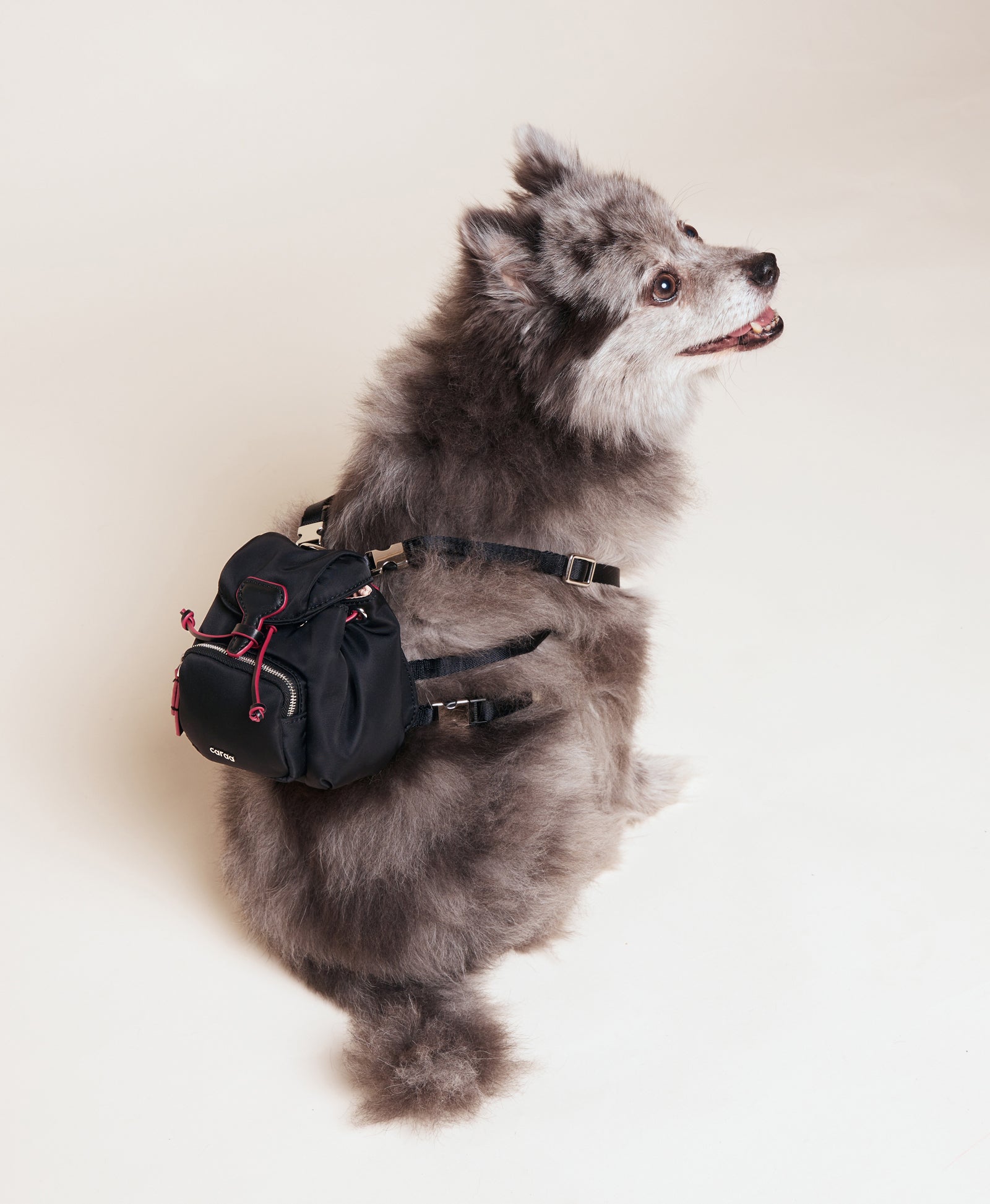 Metropolitan Dog Backpack - Black