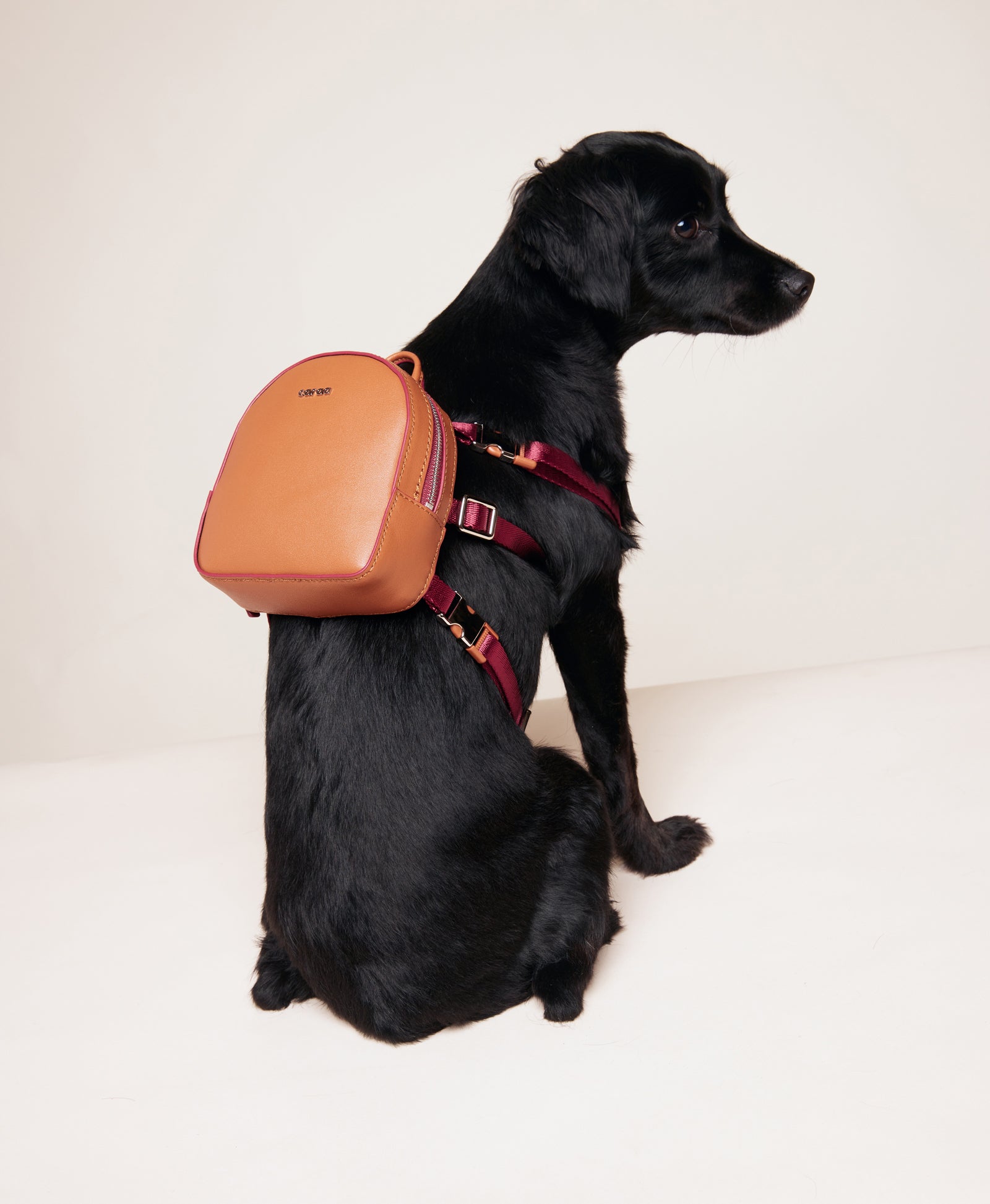 Millenial Dog Backpack - Cognac