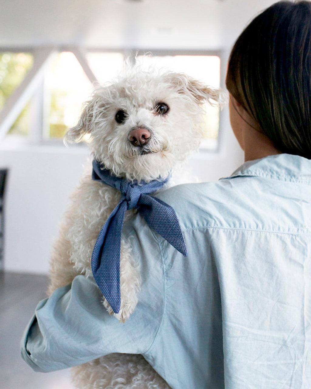 MODERNBEAST - Classic Necktie -