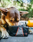 Zippy Paws - Adventure Bowl - Volcano Black -