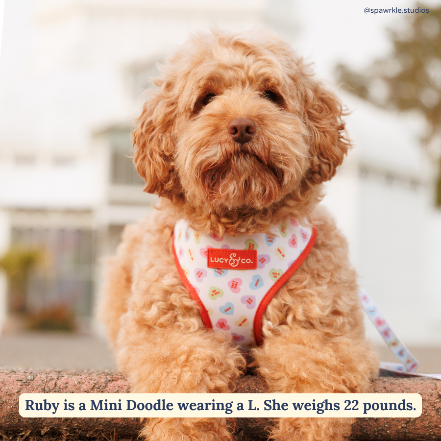 Reversible Harness - Talk About Love