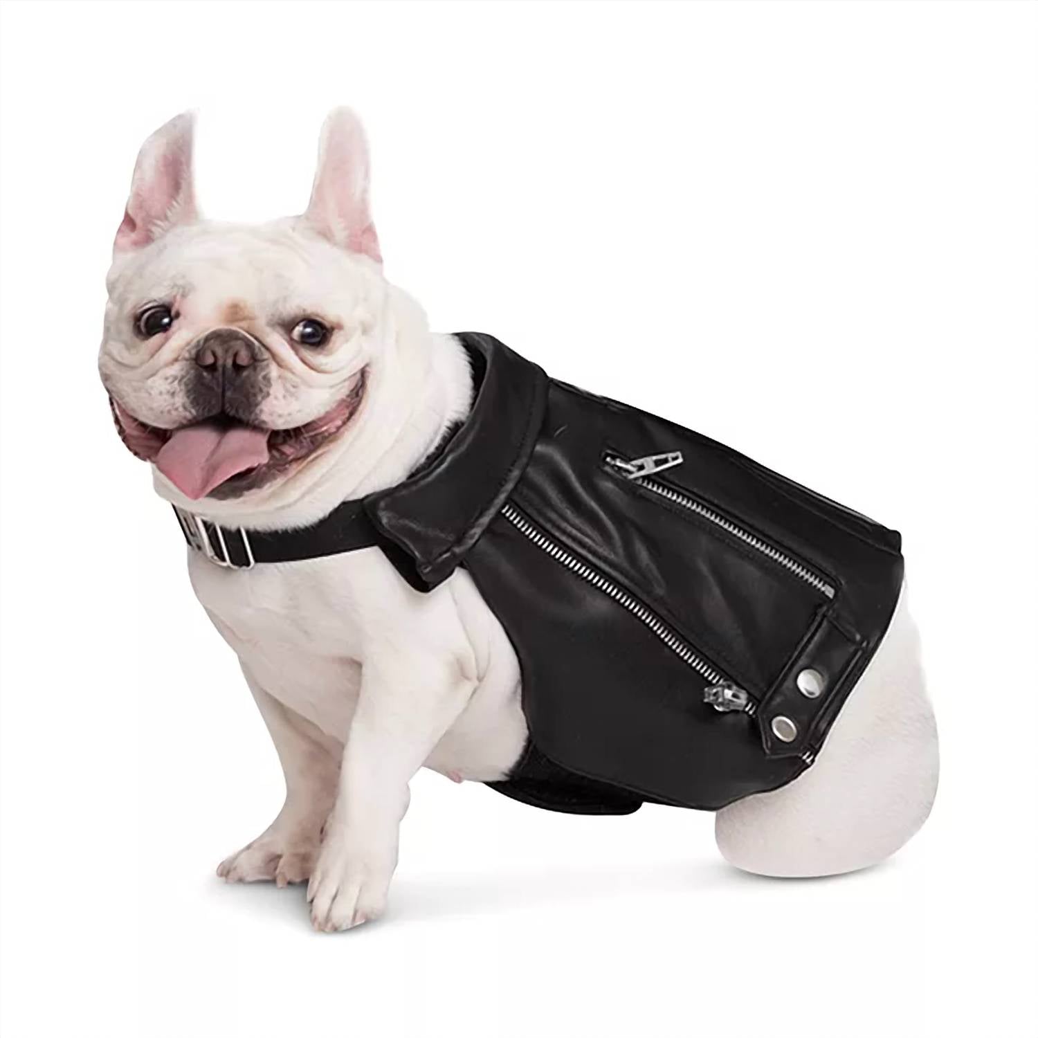 Dog Moto Jacket