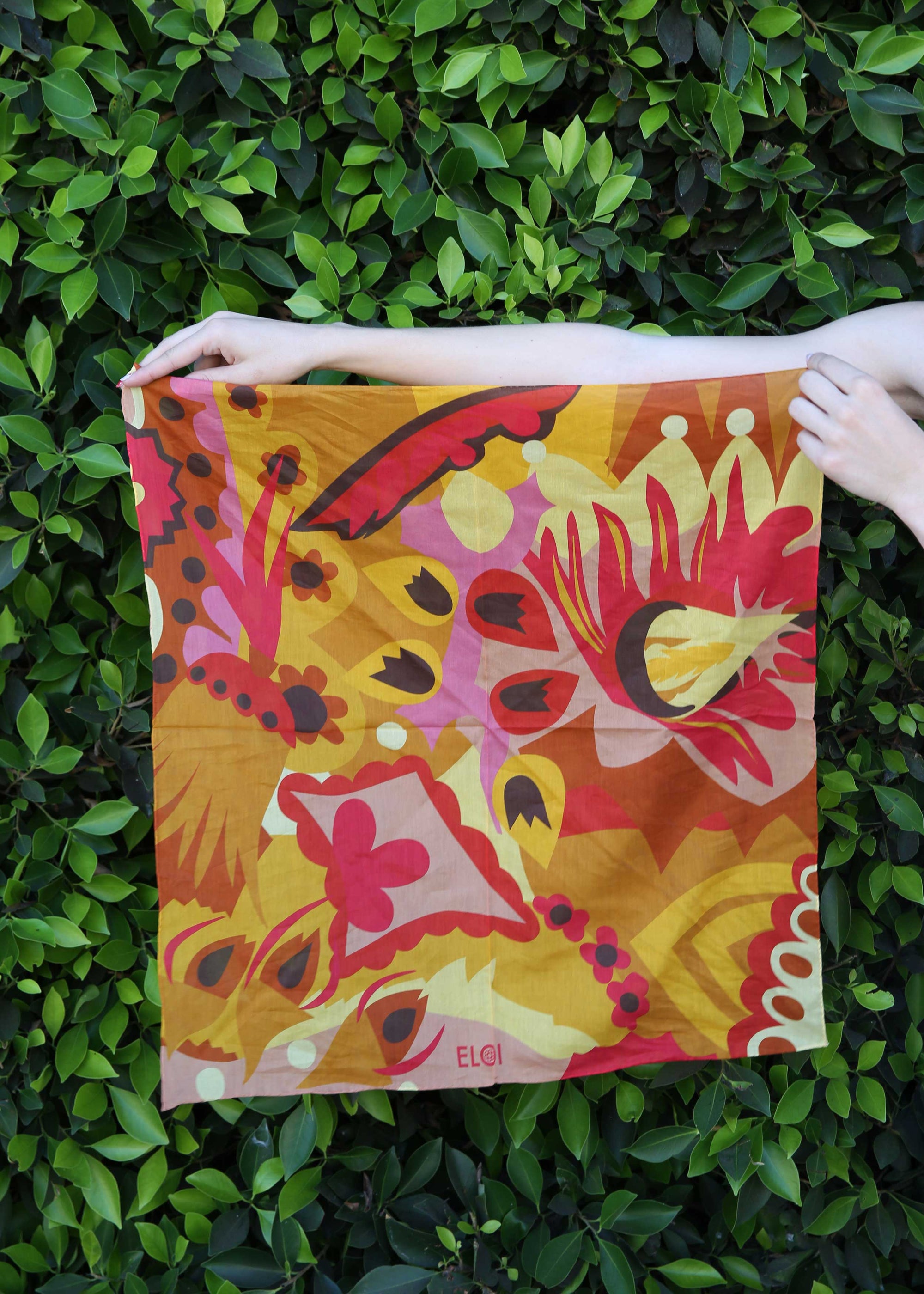Jerry Brown Scarf