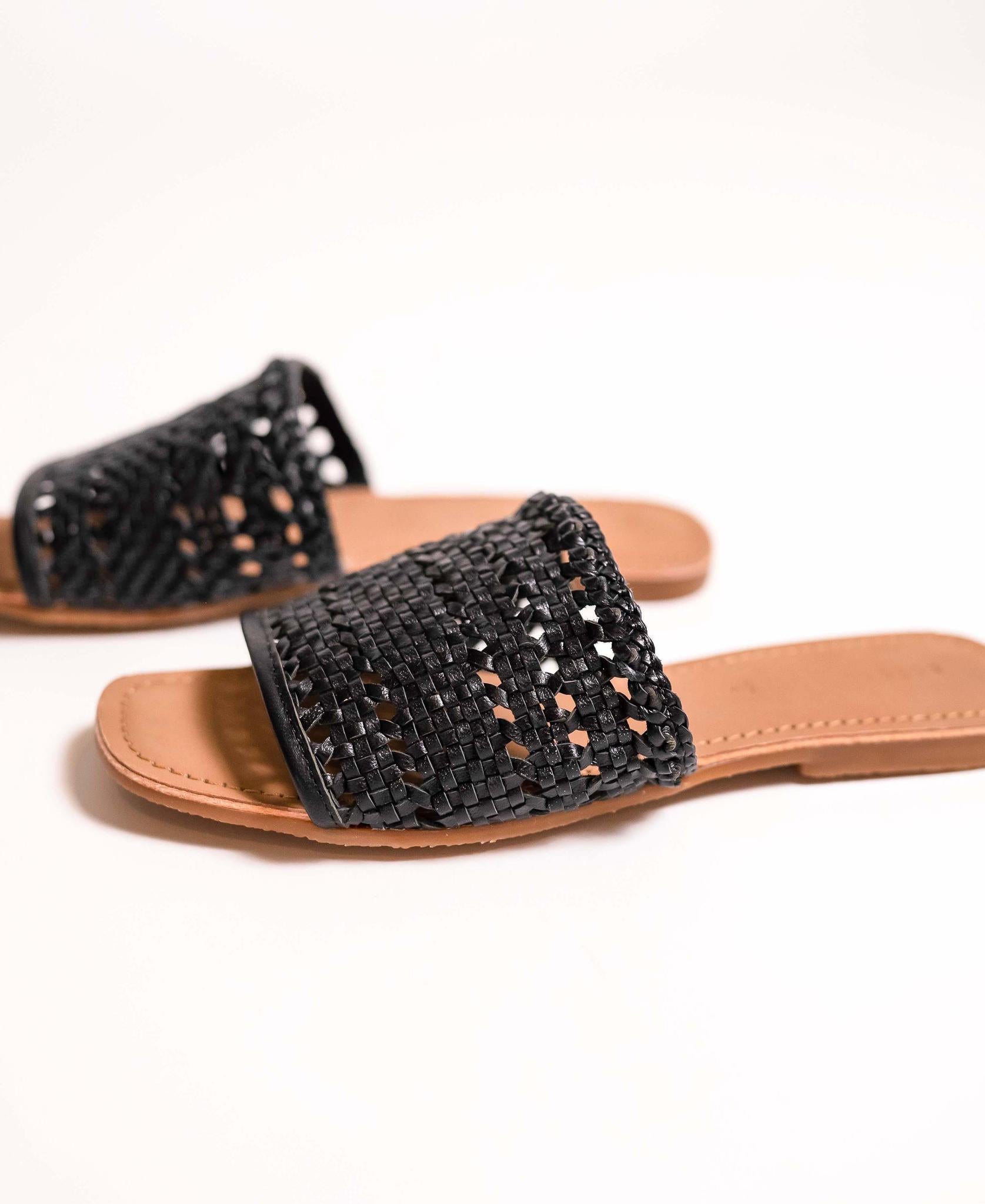 Palm - Black