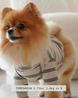 Lambwolf Collective - Chelsea Dog Tee - Earth -