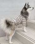 Lambwolf Collective - Chelsea Dog Tee - Earth - XL