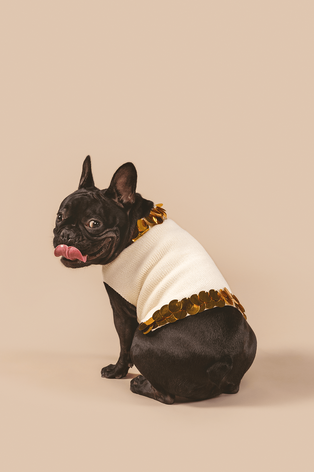 Fancy You