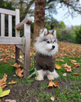 Wander! Multiway Leash - Martini