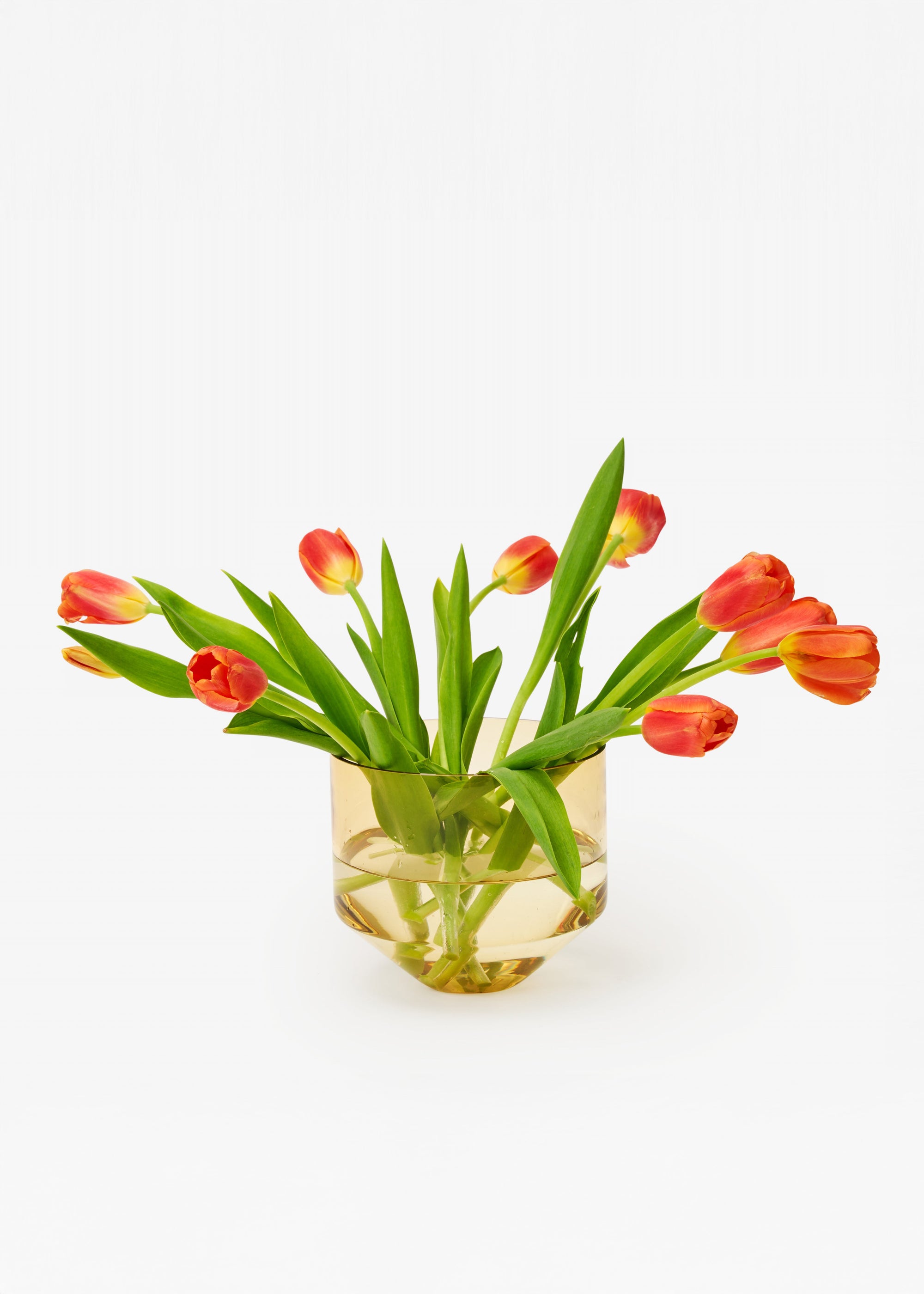 Model Three Planter - Amber