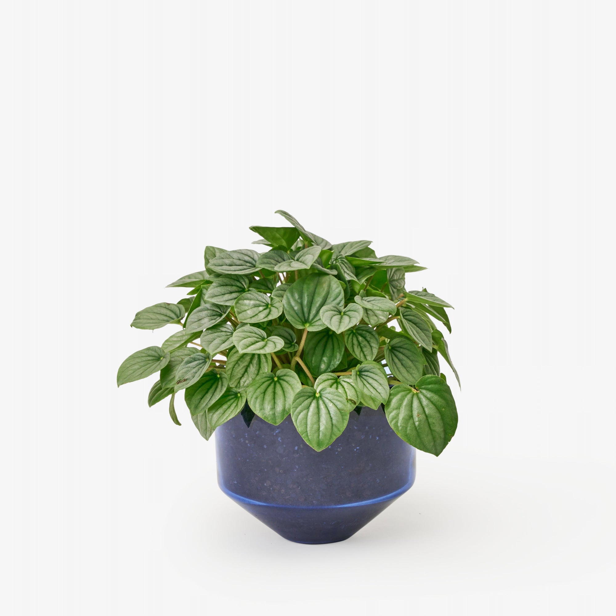 Model Three Planter - Blue