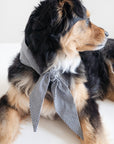 MODERNBEAST - Classic Necktie -