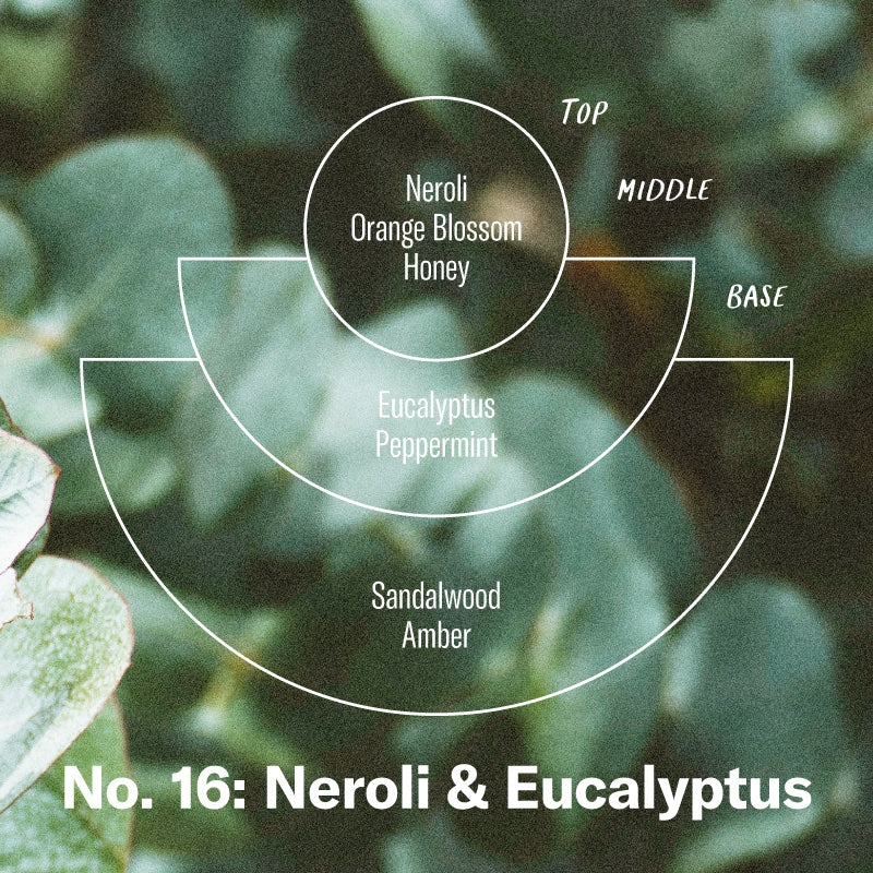 Neroli & Eucalyptus Candle