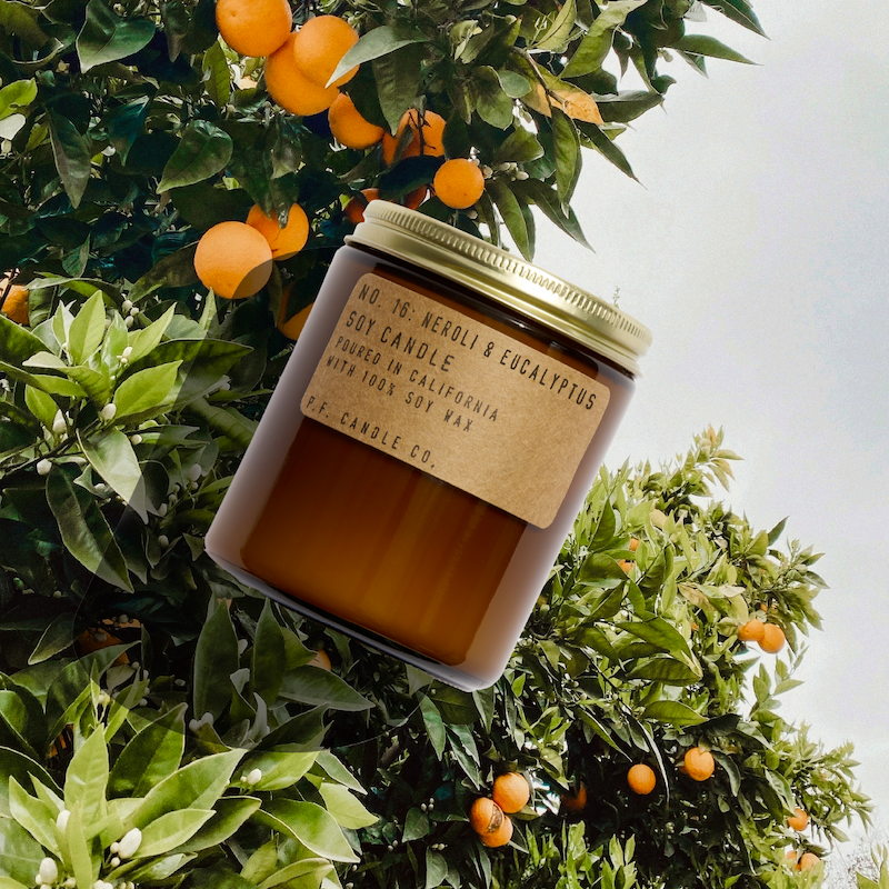 Neroli & Eucalyptus Candle