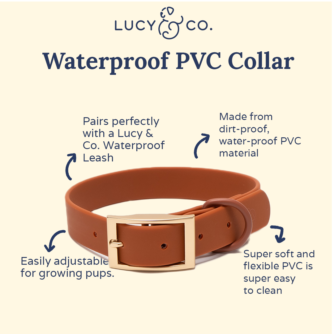 Waterproof PVC Collar - Terracotta