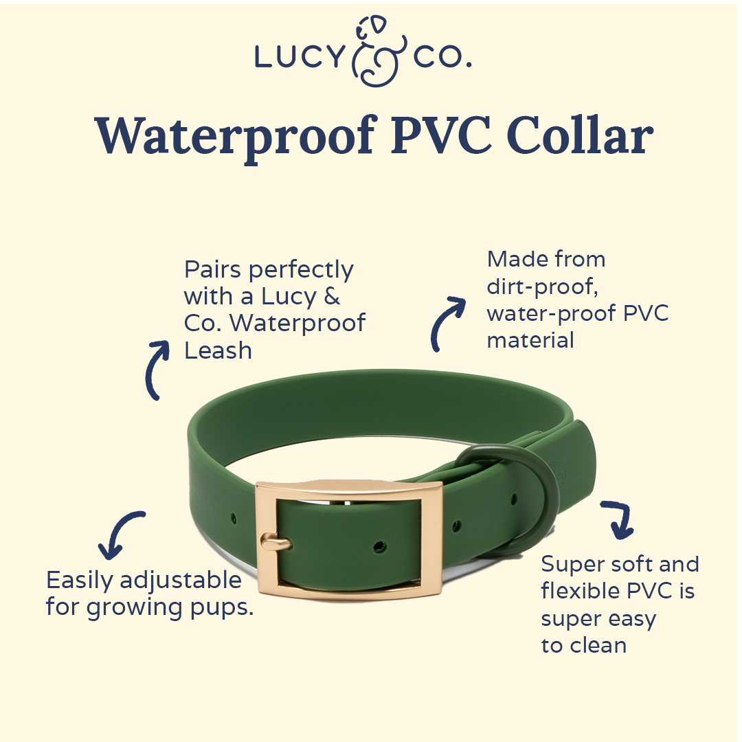 Waterproof PVC Collar - Pine
