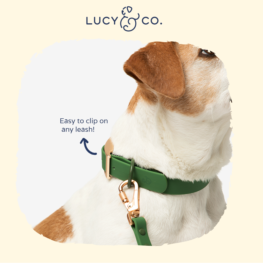 Waterproof PVC Collar - Pine