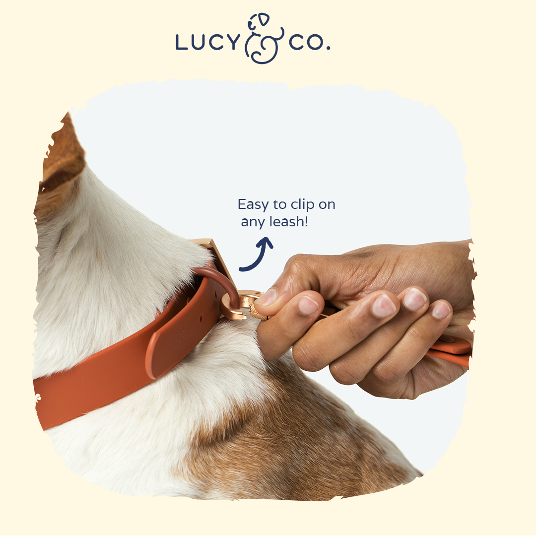 Waterproof PVC Collar - Terracotta