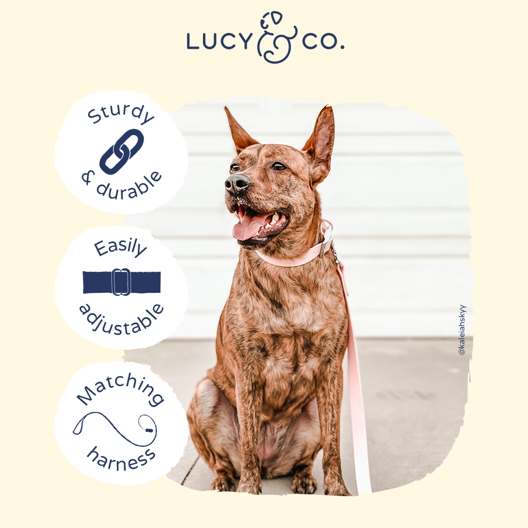 Waterproof PVC Collar - Rosewater