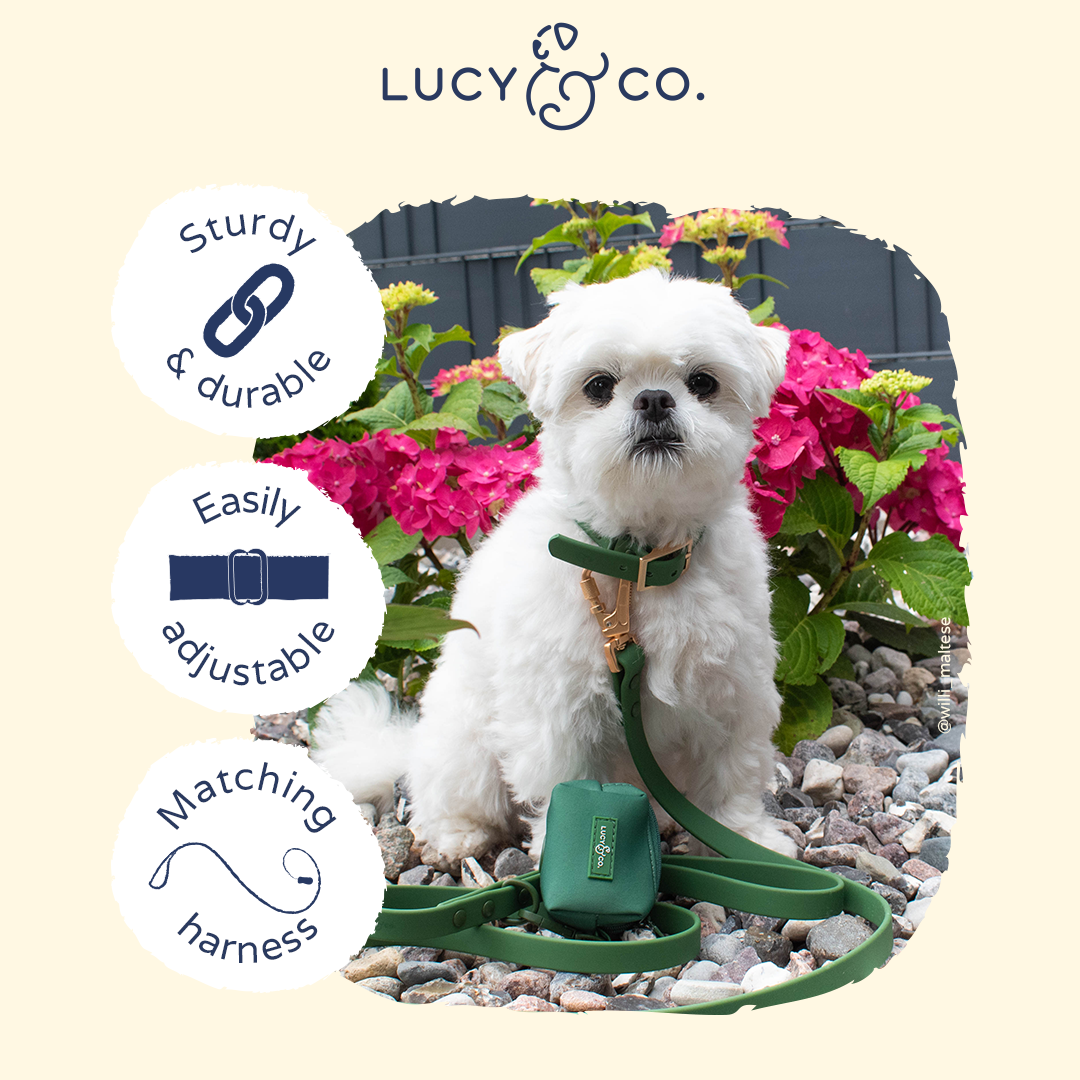 Waterproof PVC Collar - Pine