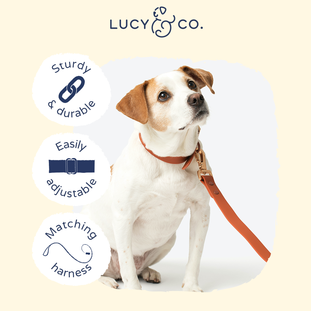 Waterproof PVC Collar - Terracotta