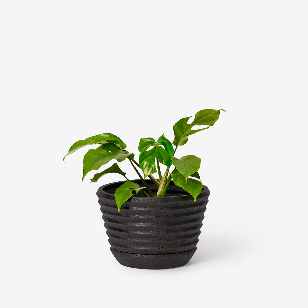 Racine Planter - Carbon