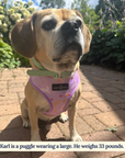 Lucy & Co. - Making Magic Reversible Harness -