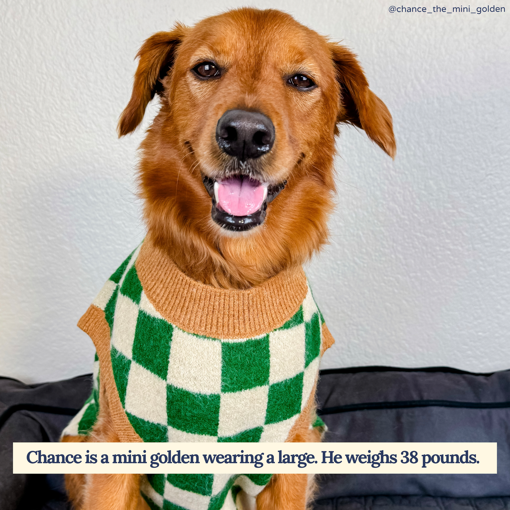 You're a Square Sweater