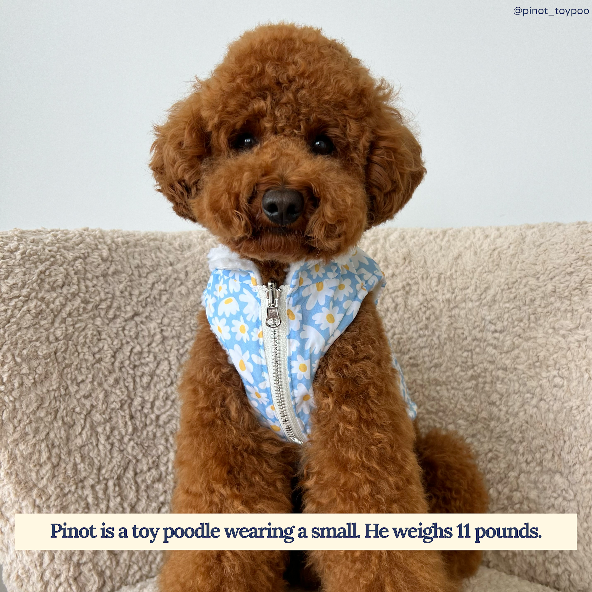 Reversible Teddy Vest - Simply Splendid