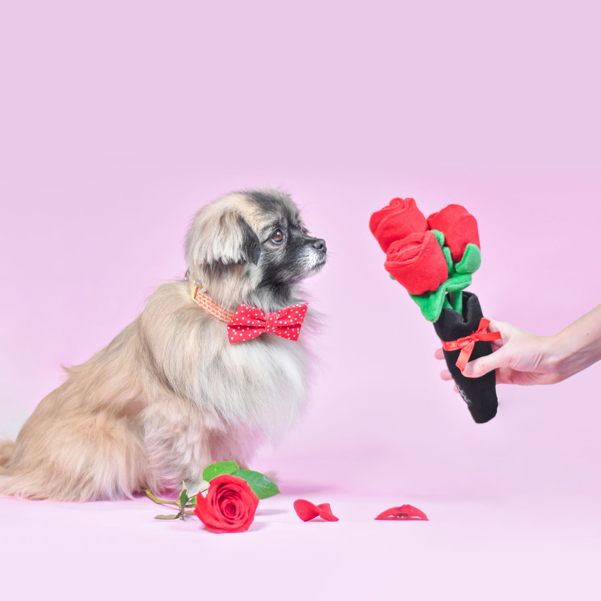 Zippy Burrow - Bouquet of Roses