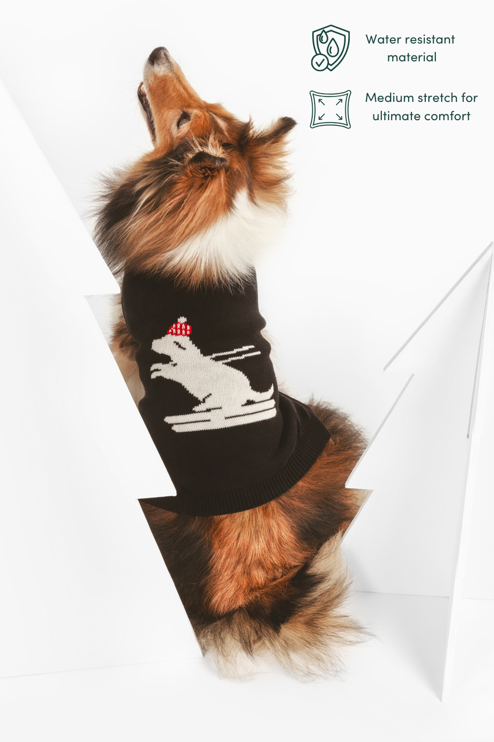 Ski Pawtrol