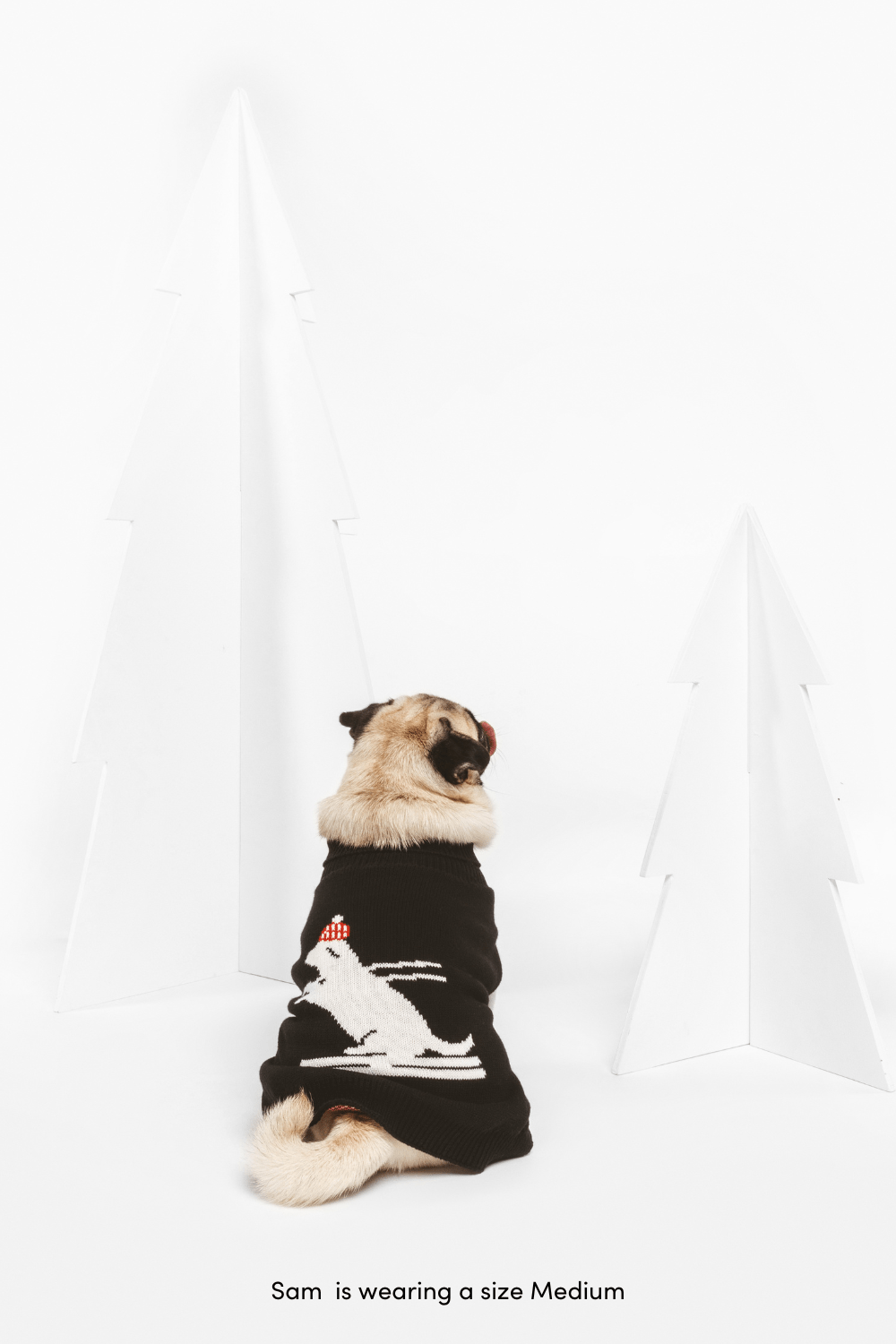 Ski Pawtrol