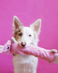 Zippy Paws - Jigglerz - Bunny -