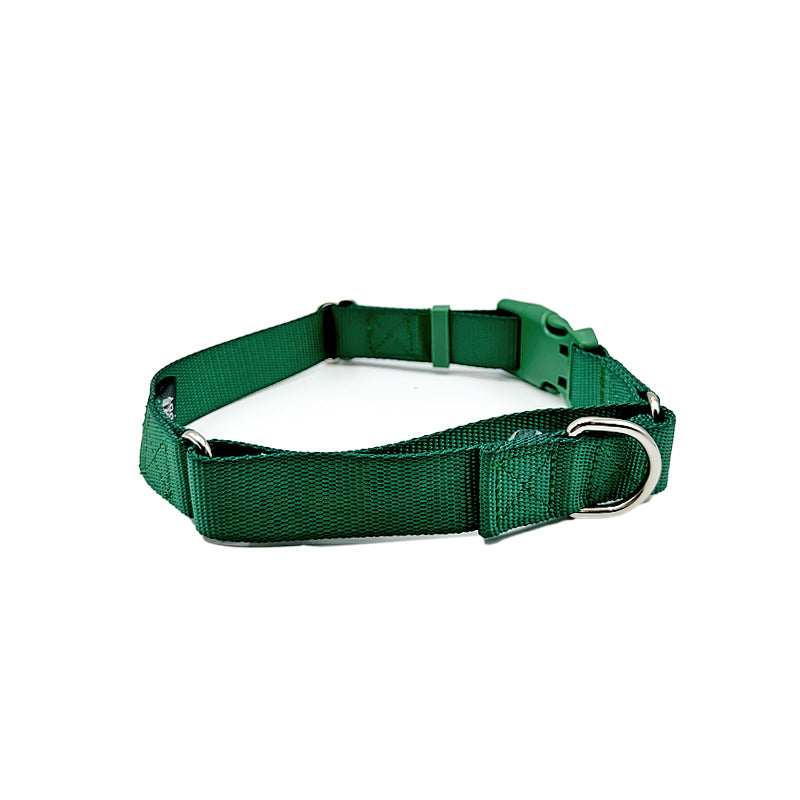 Come Here Buddy - Martingale Dog Collar -