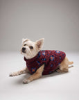 Vineyard Vines - Pet Sherpa Supershep Vest - Andy Foulard Crimson -