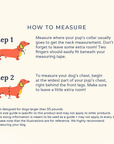 Lucy & Co. - Making Magic Reversible Harness -