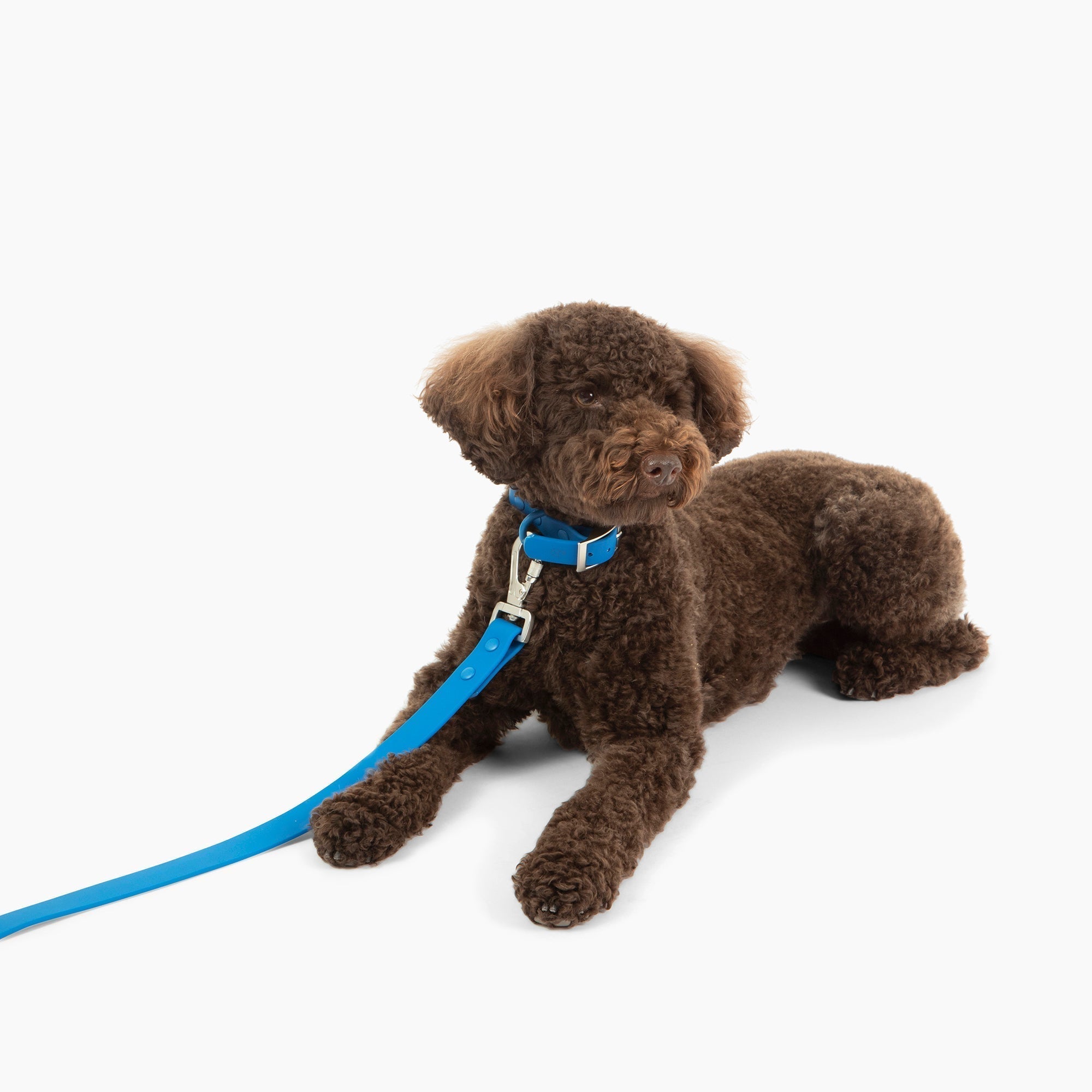 Waterproof PVC Leash - Indie