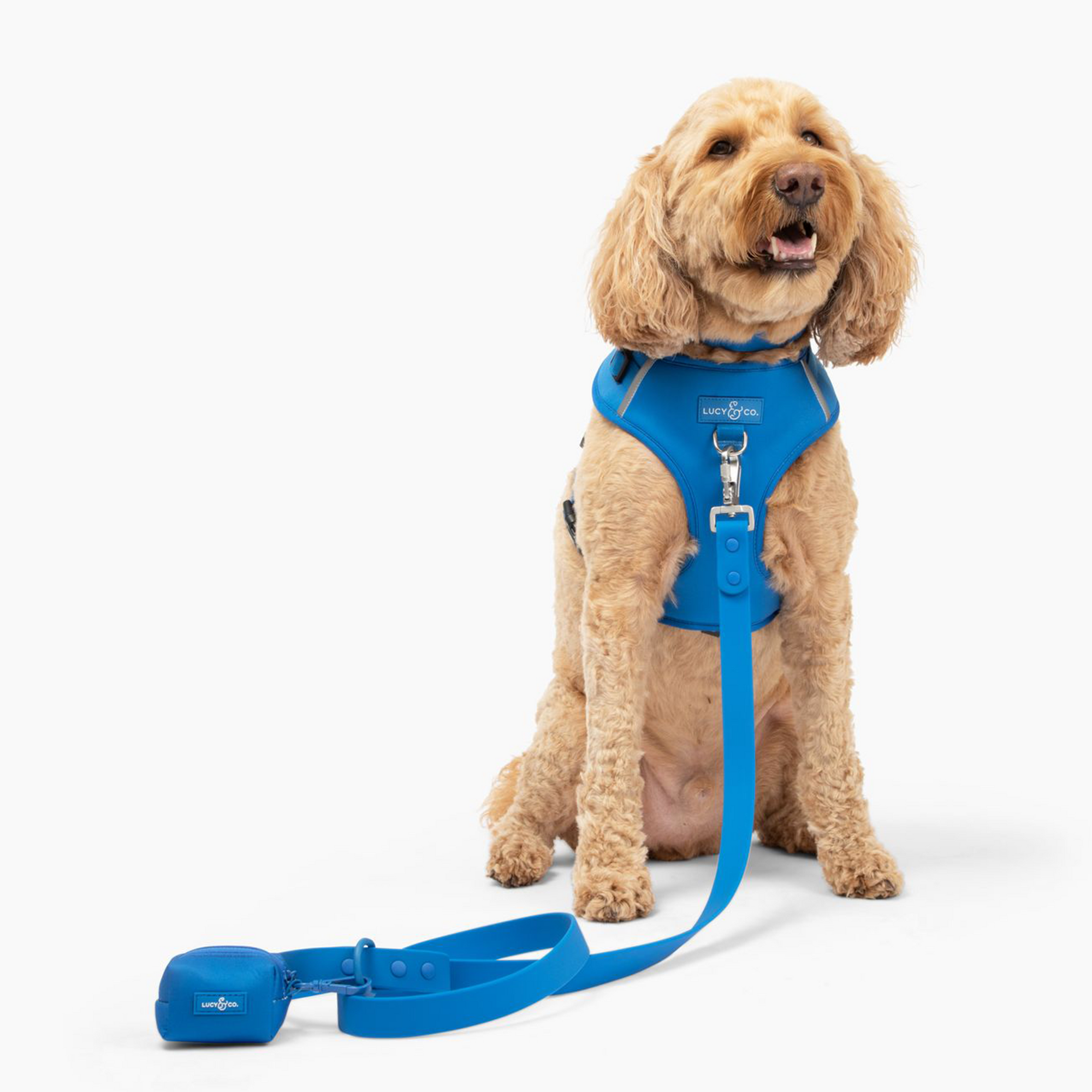 Waterproof PVC Leash - Indie