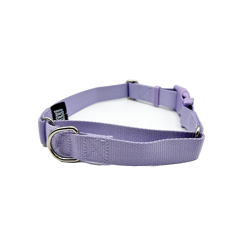 Come Here Buddy - Martingale Dog Collar -