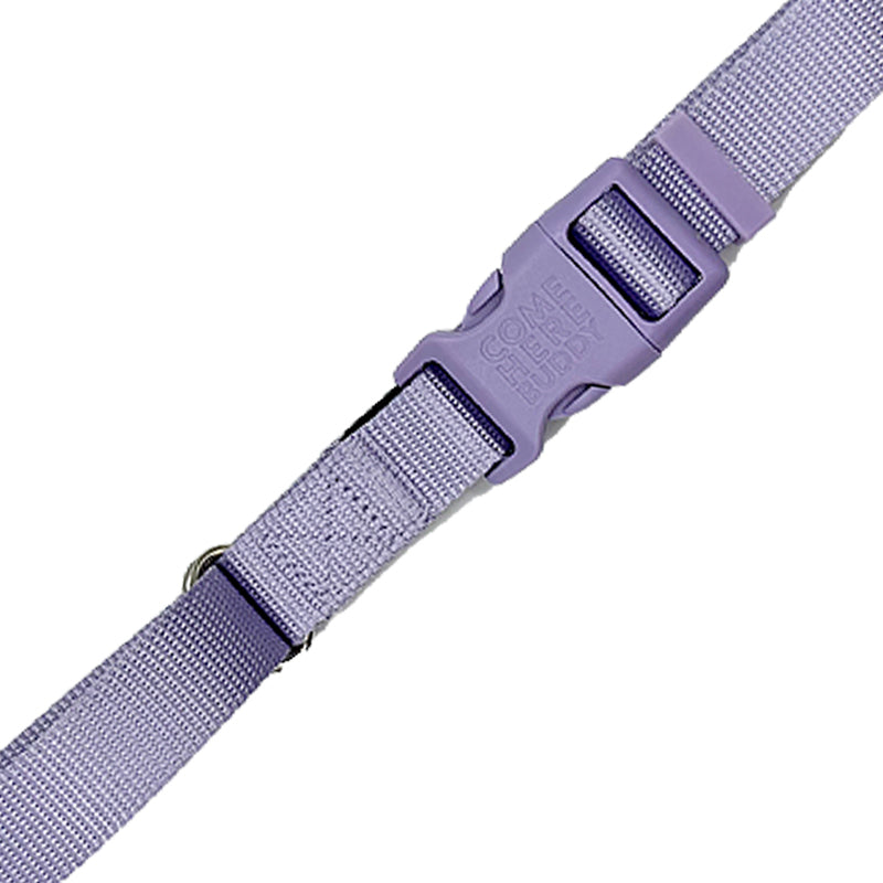 Come Here Buddy - Martingale Dog Collar -