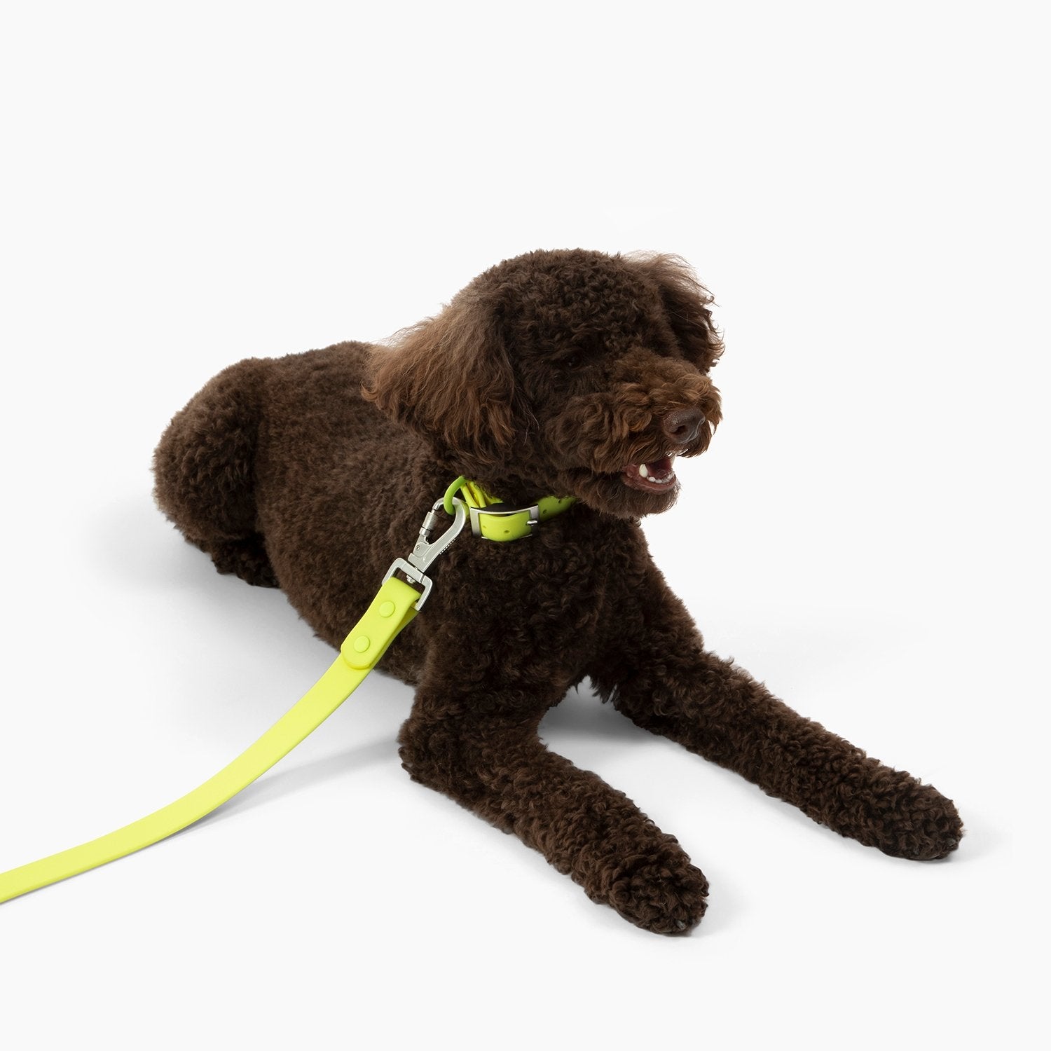 Waterproof PVC Collar - Tennis Ball