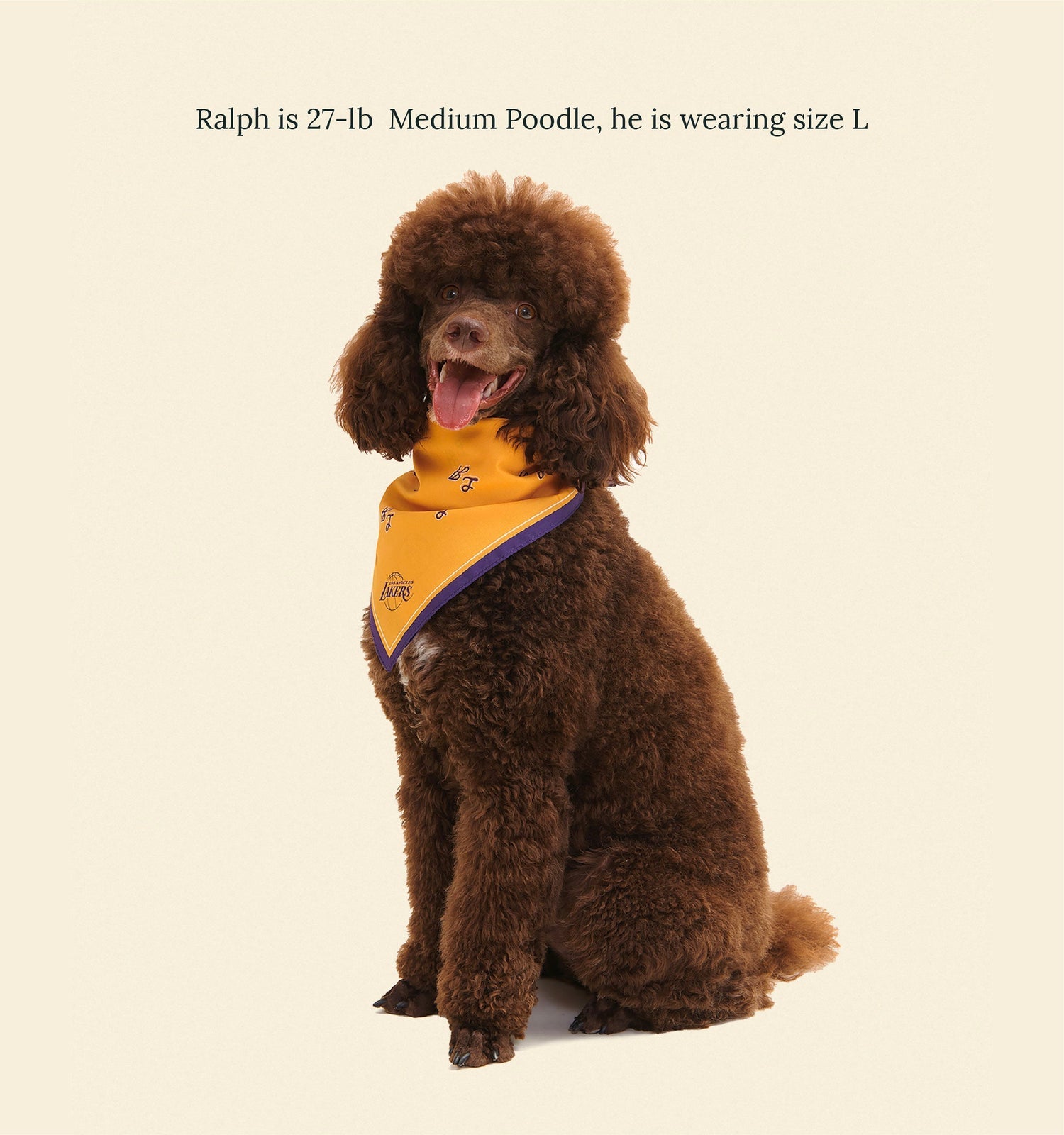 Los Angeles Lakers Bandana