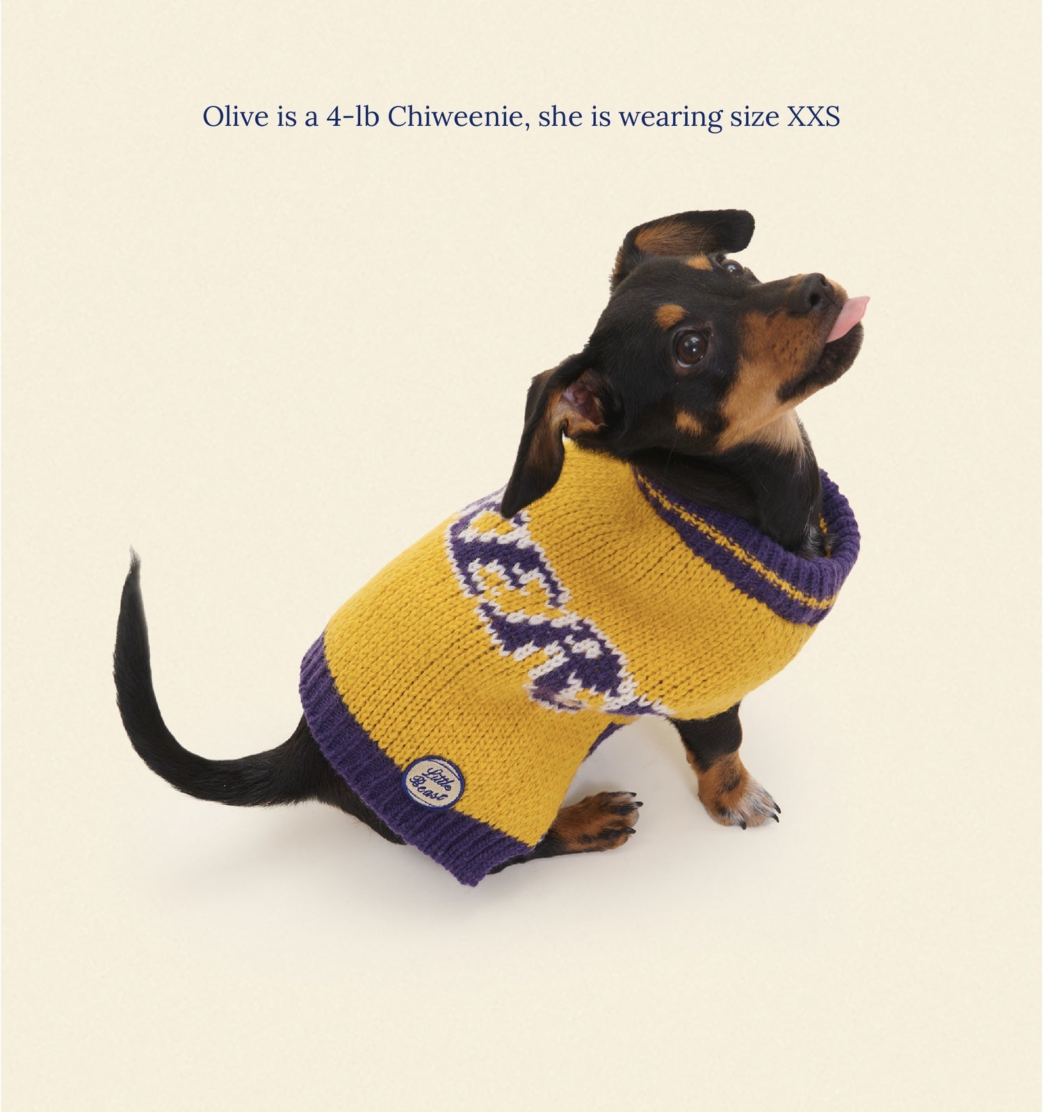 Los Angeles Lakers Dog Sweater