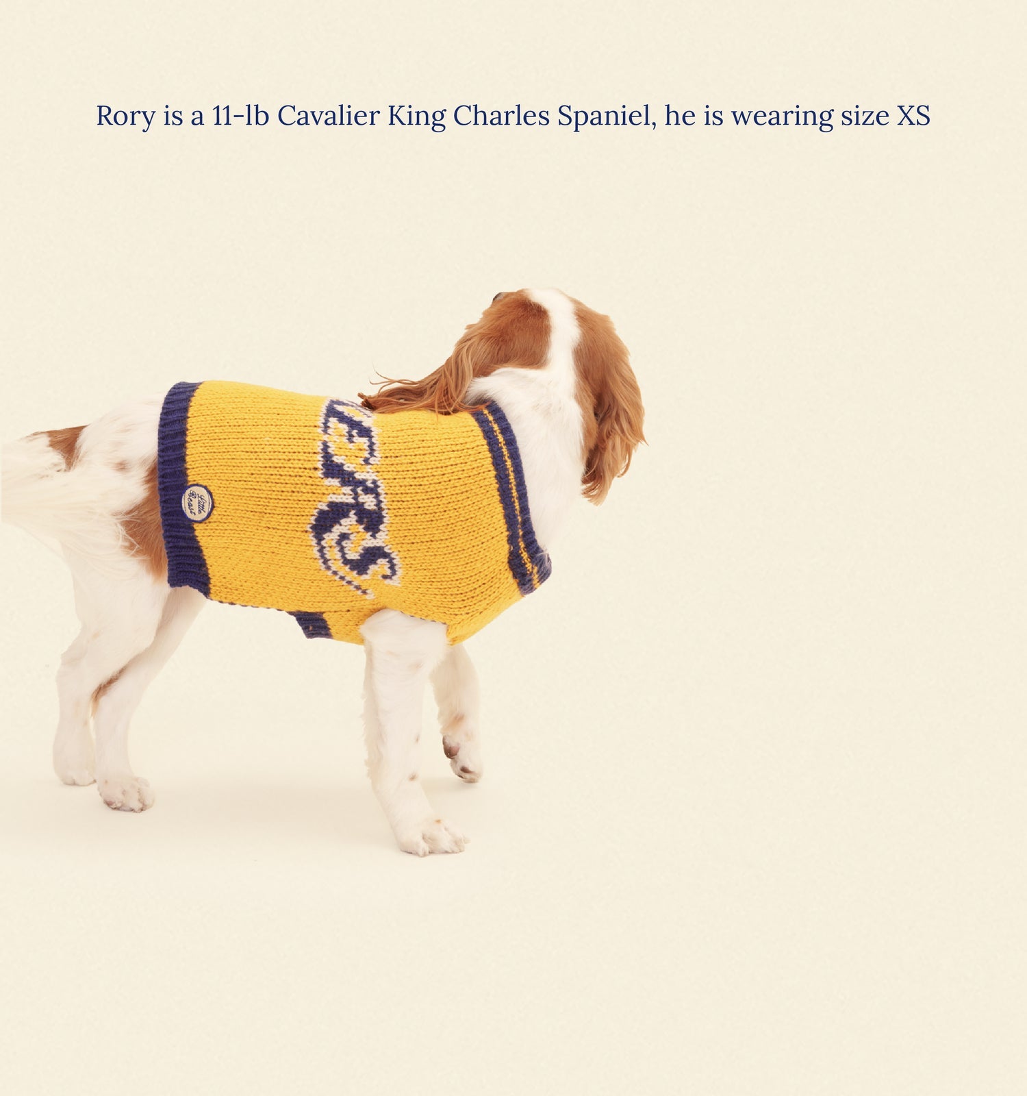 Los Angeles Lakers Dog Sweater