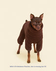 Little Beast - Fleece Onesie - Magic Brownie -