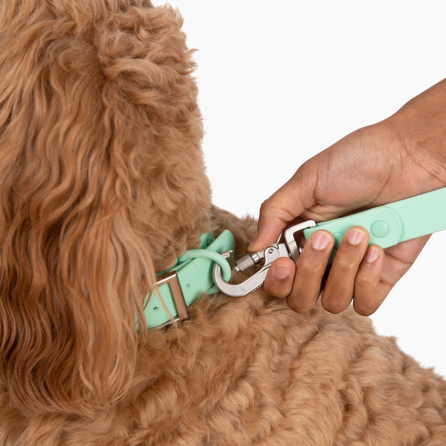 Waterproof PVC Collar - Mint