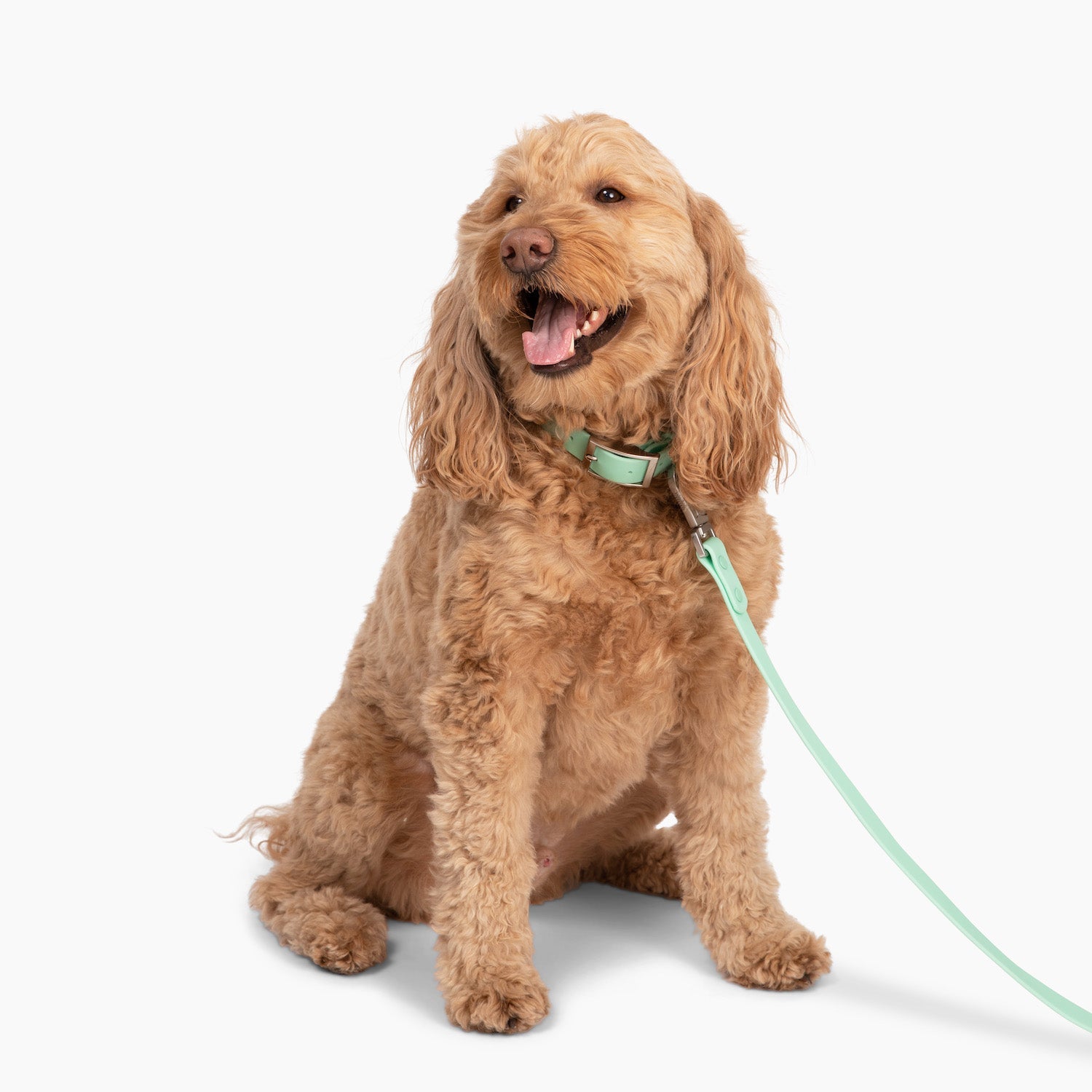 Waterproof PVC Collar - Mint