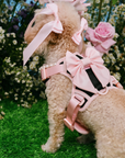 Petite Bow Clips - Blossom - FURRY MUSE WAN - HAC - OS - PN