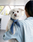 MODERNBEAST - Classic Necktie -