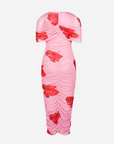 Poppy Floral Mesh Cape Dress